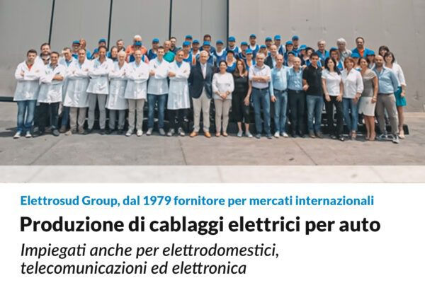 Elettrosud Group: produzione di cablaggi elettrici per auto